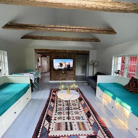 Villa Mysig Stuga Naera Aestad Vingard & Spa Extérieur photo