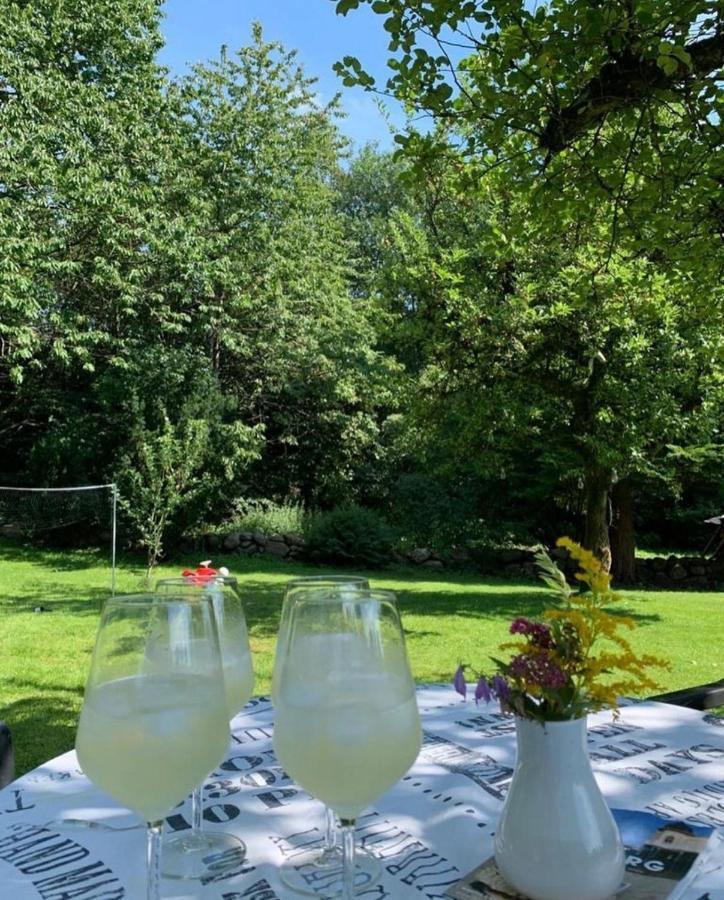 Villa Mysig Stuga Naera Aestad Vingard & Spa Extérieur photo